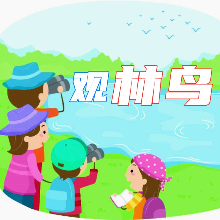 【上海半日】世博后滩观林鸟
