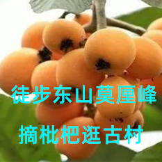 【周末一日】徒步太湖东山、紫金庵看天下罗汉、赏太湖美景、逛陸巷古村落、5月摘枇杷6月摘杨梅—徒步苏州