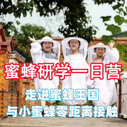 【1日研学营】探索蜜蜂王国、体验采蜜酿蜜收蜜、蜂蜜唇膏+琥珀DIY—蜜蜂研学一日营