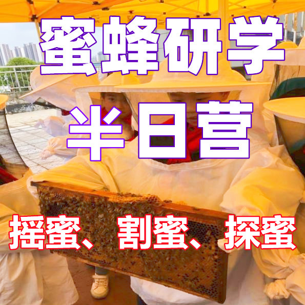 蜜蜂半日