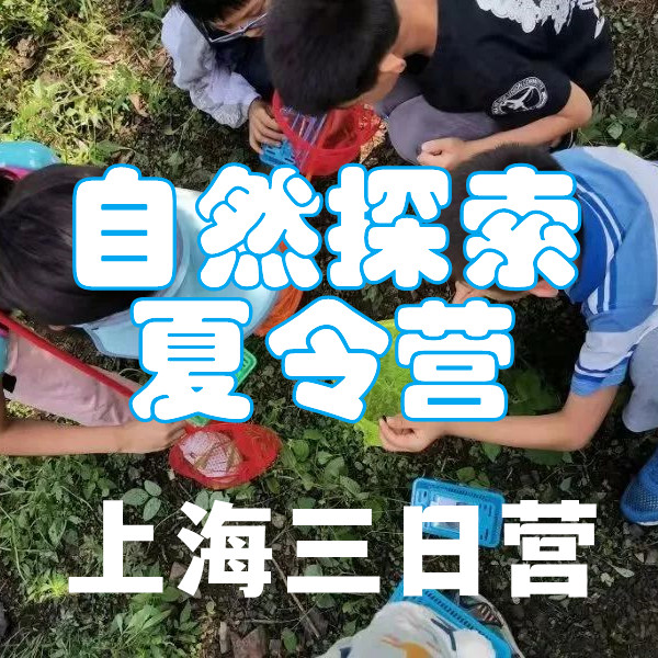 【夏令营I上海3日自然野趣营】捉昆虫做标本、搭建昆虫旅馆；玩泥巴、荷叶鸡制作、挖土窑窑红薯；油漆彩绘、竹趣手工、森林定向、水果采摘—自然野趣3日自然探索营