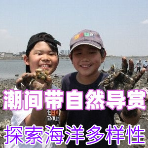 【上海半日】（6.3&6.4 均已成团）潮间带（滩涂）自然导赏——探索海洋生物多样性的秘密 （自驾南汇）