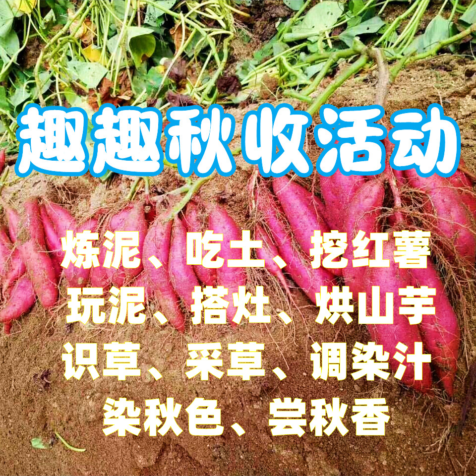 【自然之家|中秋国庆】炼泥吃土挖红薯 玩泥搭灶烘山芋 识草采草调染汁 染秋色 尝秋香——开启你的色彩盲盒，将五彩斑斓的秋带回家（自驾金山）
