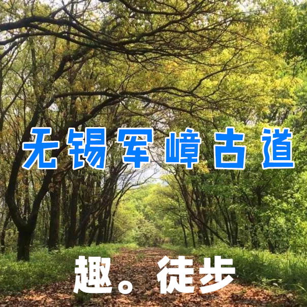 【1日徒步营】徒步无锡经典之线—军嶂古道，体验一次丛林探险记