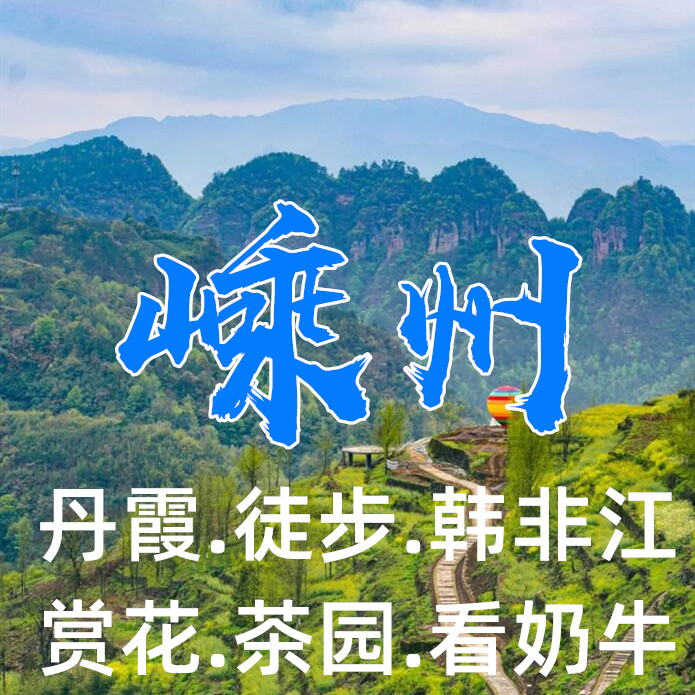 【清明I嵊州二日】参观奶牛场、徒步梅坞古道、看千亩茶园、赏梯田花海、走丹霞古道、邂逅倒脱靴—趣。嵊州