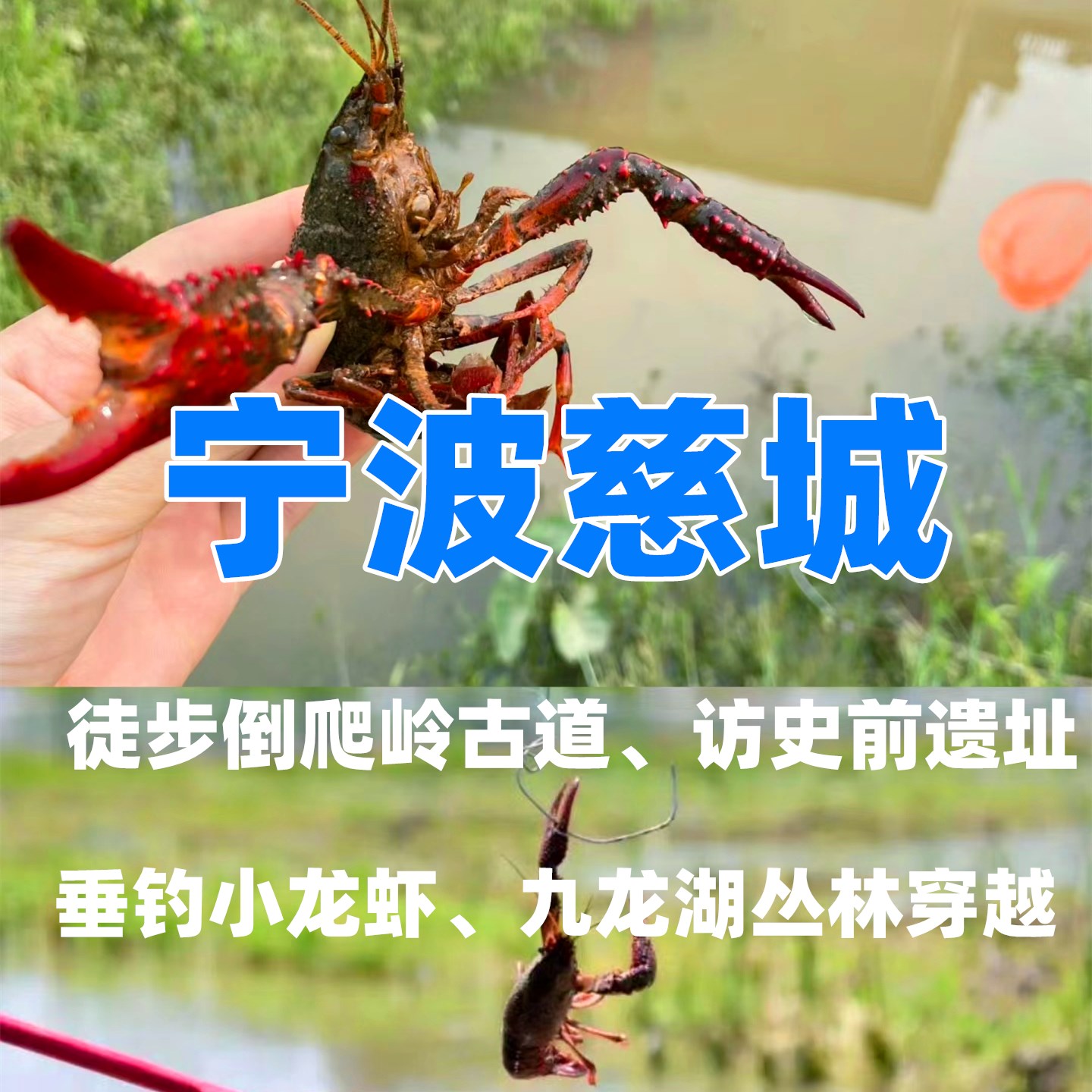 【五一I宁波】（2日）垂钓小龙虾、九龙湖丛林穿越；看史前田螺山遗址、徒步倒爬岭古道、慈城古镇寻古味—趣。宁波慈城