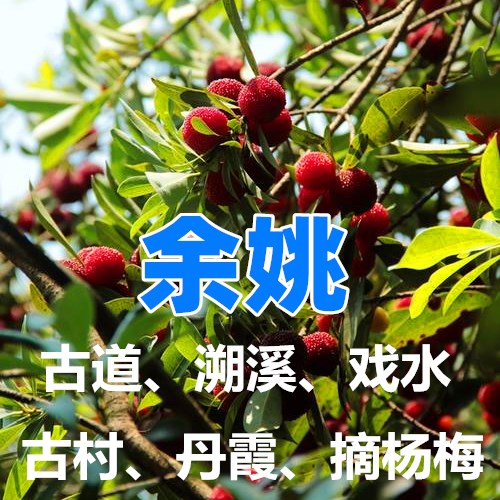 【端午I余姚】（2日）芝林古道、溯溪打水仗；裘岙村、赏丹霞走玻璃栈道；网红中村、避暑戏水；杨梅之乡、摘杨梅—趣。余姚