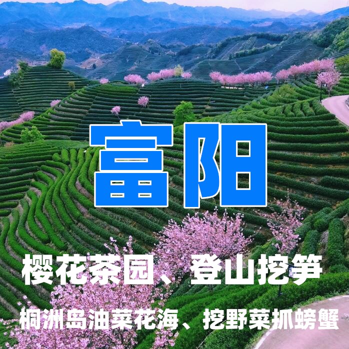 【清明I富阳】（2日）赏樱花万亩茶园、骑行桐洲岛、挖野菜抓螃蟹、赏千亩油菜花海、乡村挖笋—趣。富阳