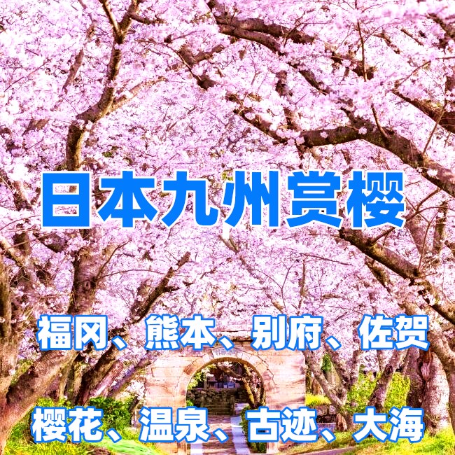 【家长单飞I日本赏樱】人少景美、樱花秘境、日本九州（福冈-别府-熊本）6日赏樱之旅
