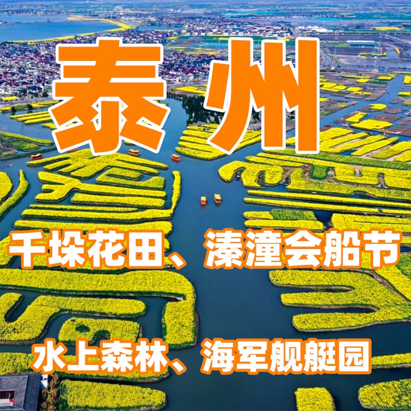 【清明I泰州】（3日）千垛油菜花田、非遗溱潼会船节、水上森林二月兰、海军舰艇园、桃园赏花、黄桥古镇—春游泰州