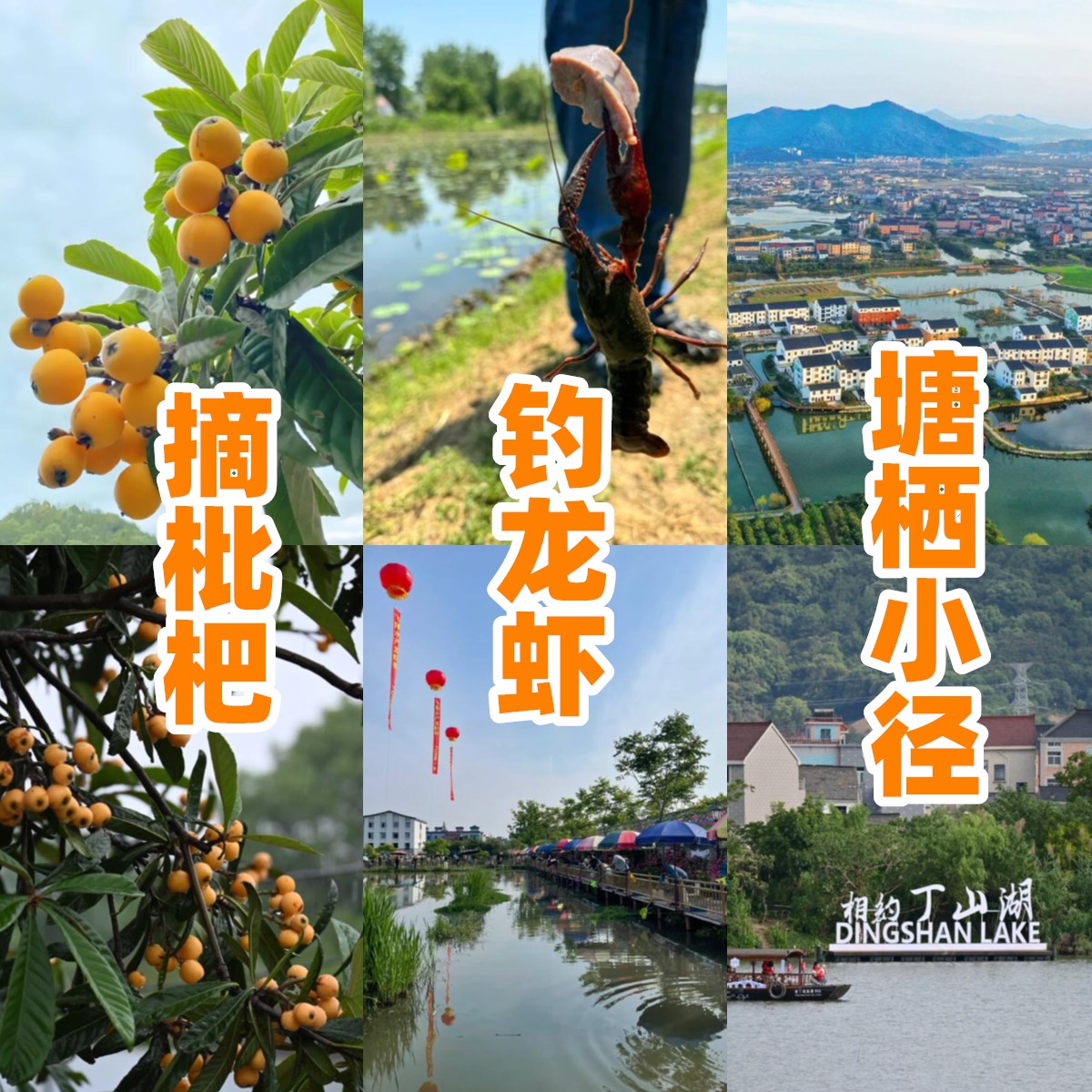 【一日活动】垂钓小龙虾、塘栖摘枇杷、徒步塘超小径