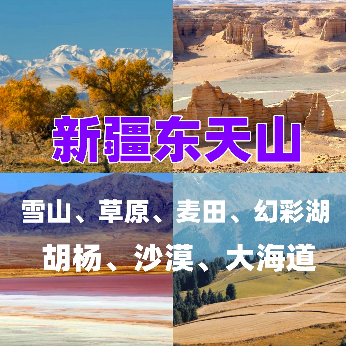 新疆东疆6日亲子游