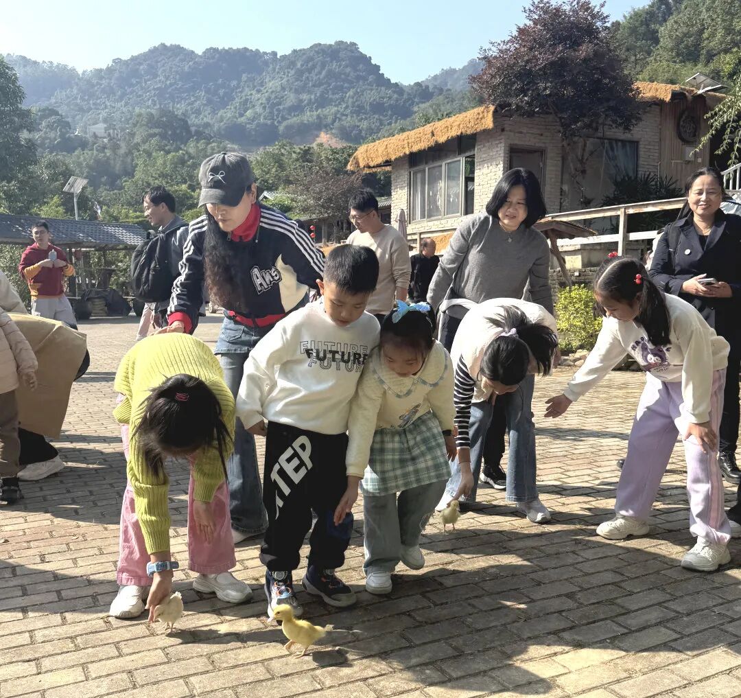 【自然之家半日】赶鸡鸭大赛