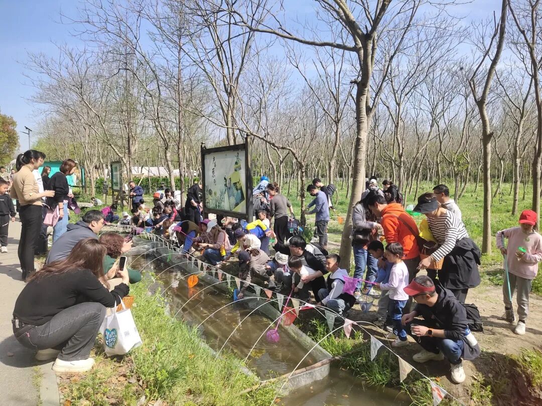 【自然之家半日】欢乐捞蝌蚪