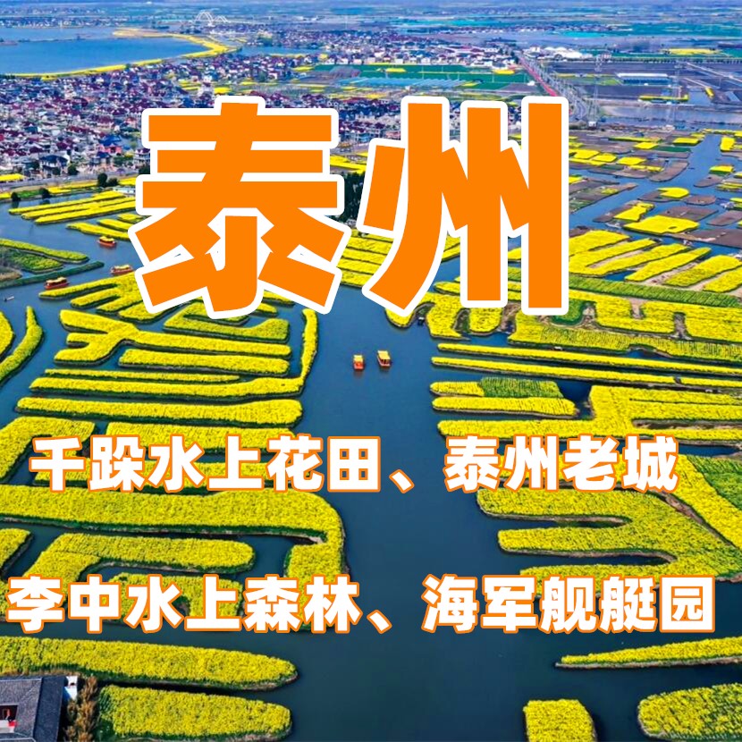 【清明I泰州】（3日）千垛油菜花田、水上森林二月兰、海军舰艇园、桃园赏花、泰州老城—春游泰州